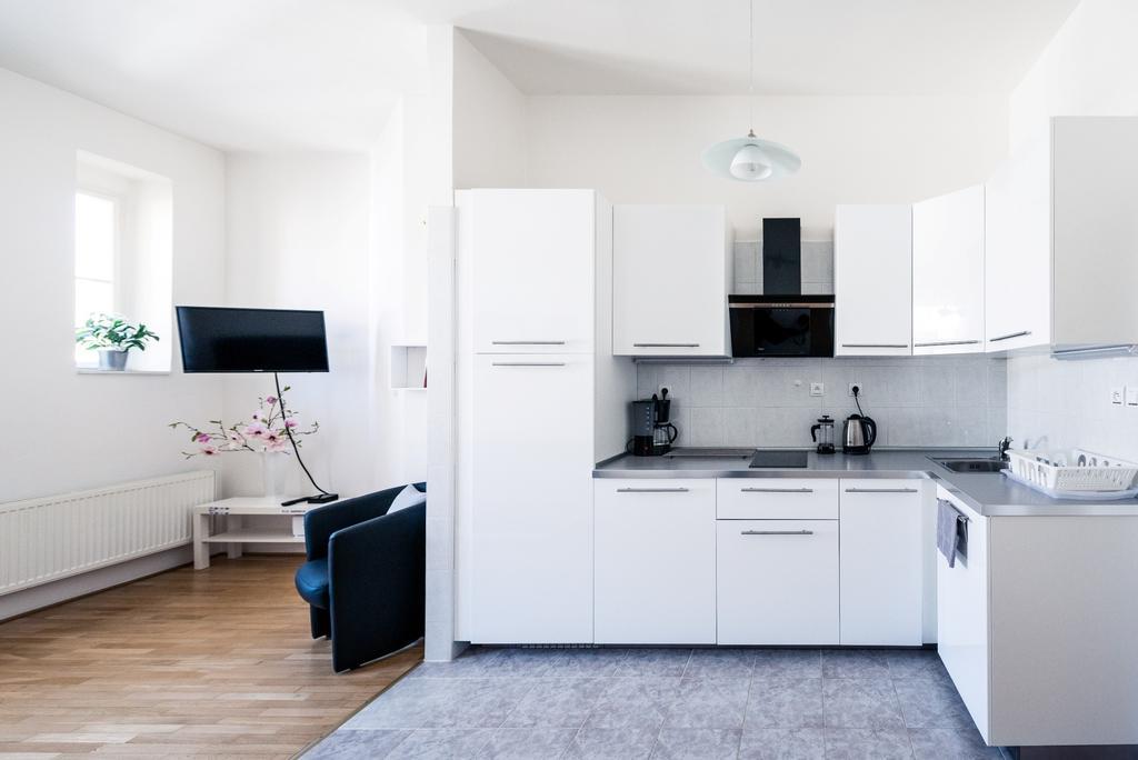 Modern Apartment Riegrovy Sady 프라하 객실 사진