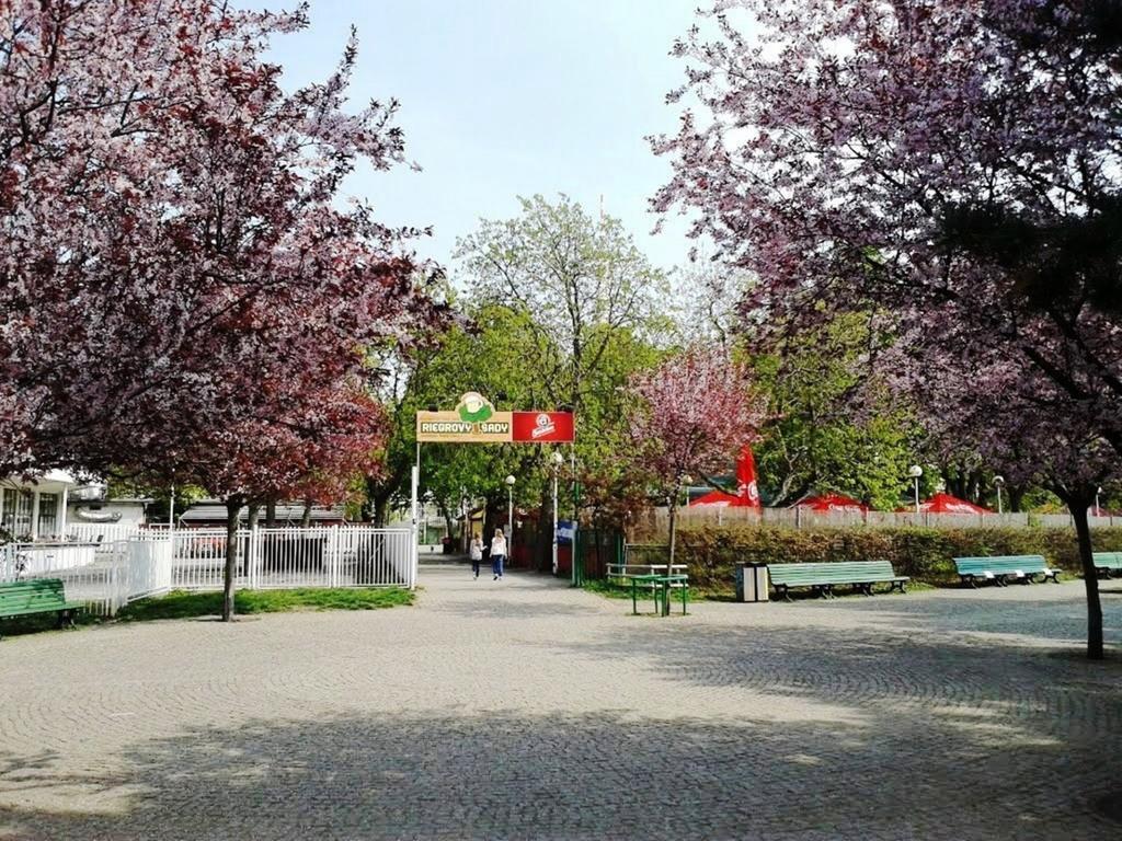 Modern Apartment Riegrovy Sady 프라하 외부 사진